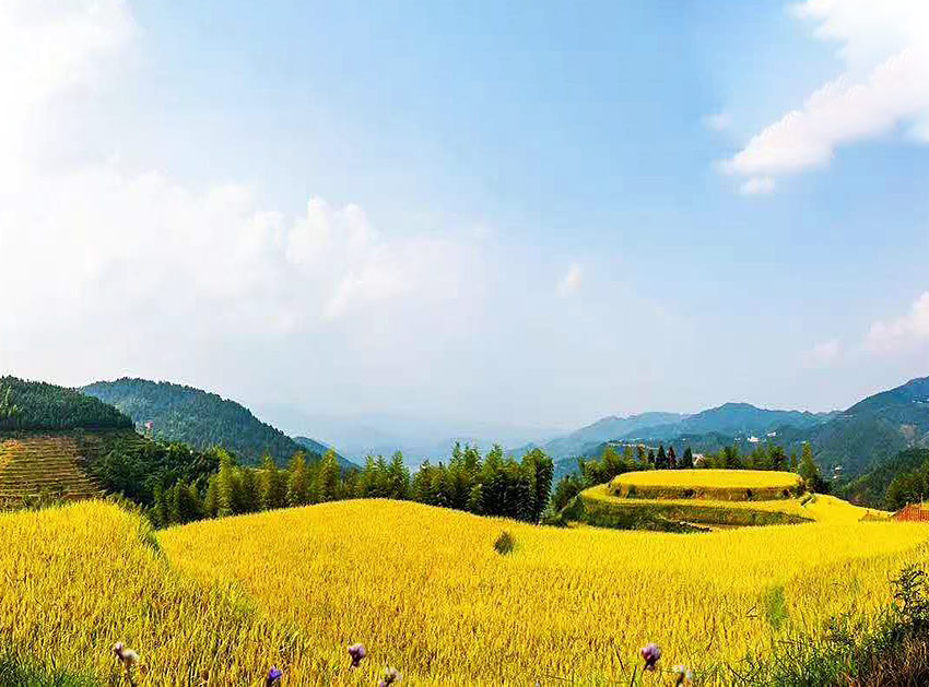 種植基地