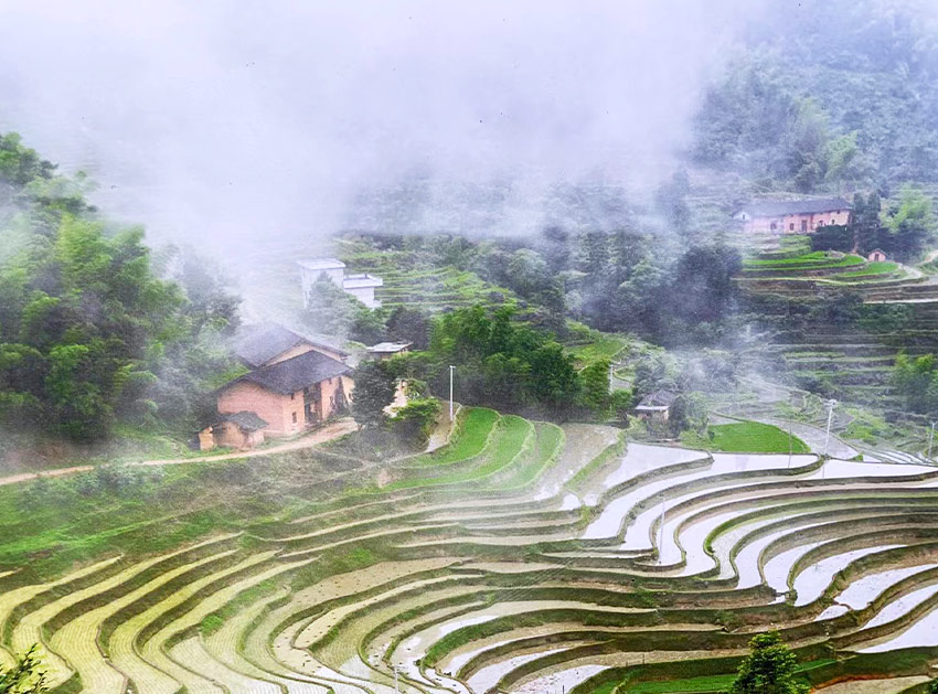 種植基地